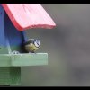 20130421_0032